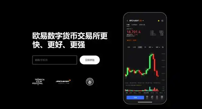 U币交易软件平台展示图
